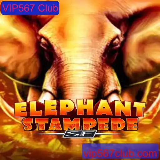 Aventura Selvagem: Conheça o Excitante Jogo ElephantStampedeSE