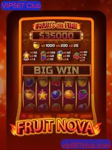 FruitNova: O Jogo que Conquistou o VIP567 Club