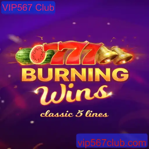 Explorando o Fascinante Mundo de BurningWins e o VIP567 Club