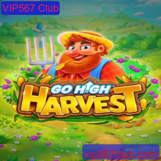 Descubra o Fascinante Mundo de GoHighHarvest com o VIP567 Club