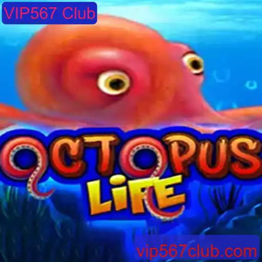 Explorando o Mundo de 'OctopusLife': Tudo o que Você Precisa Saber
